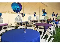Table, Chair and Linen Rentals Image